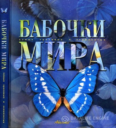 Обложка к Леонид Каабак, Андрей Сочивко. Бабочки мира. Самые красивые и знаменитые (2003) PDF