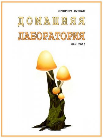 Обложка к Домашняя лаборатория №5 (май 2018)