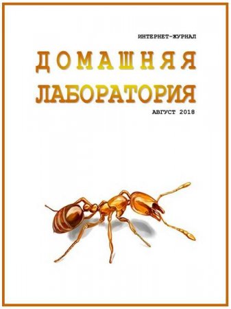 Обложка к Домашняя лаборатория №8 (август 2018)