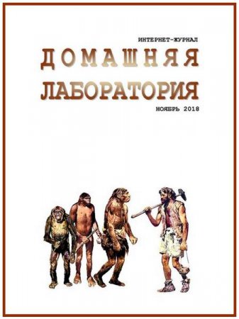 Обложка к Домашняя лаборатория №11 (ноябрь 2018)
