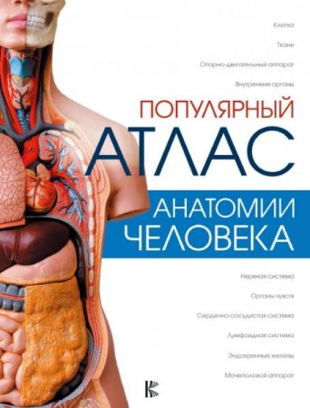 Обложка к Популярный атлас анатомии человека