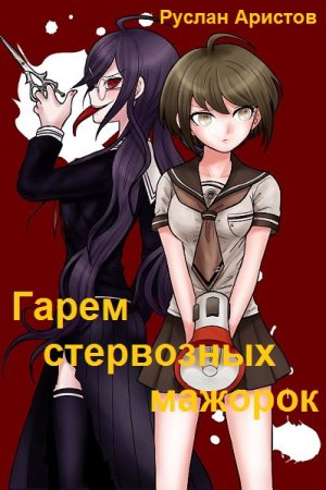 Обложка к Руслан Аристов. Цикл (9 книг) - Гарем стервозных мажорок