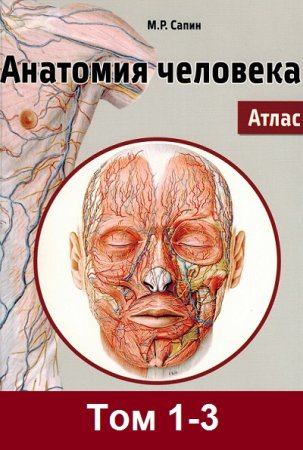 Обложка к Анатомия человека. Атлас. в 3-х томах