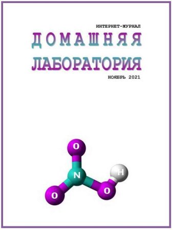 Обложка к Домашняя лаборатория №11 (ноябрь 2021)