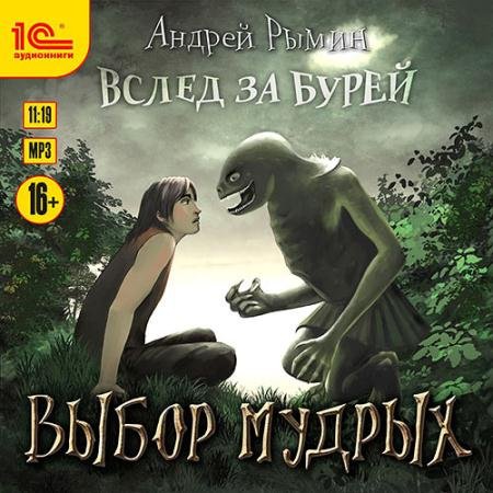 Обложка к Аудиокнига - Выбор мудрых (2022) Рымин Андрей