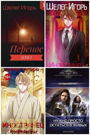 Обложка к Игорь Шелег. Сборник 17 книг