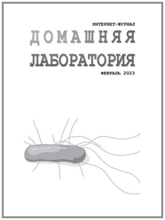 Обложка к Домашняя лаборатория №2 (февраль 2023)