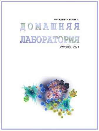 Обложка к Домашняя лаборатория №10 (октябрь 2024)